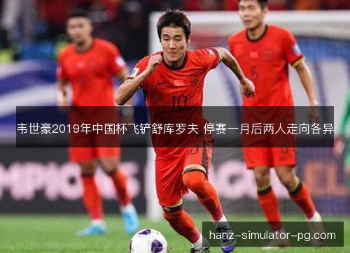 韦世豪2019年中国杯飞铲舒库罗夫 停赛一月后两人走向各异